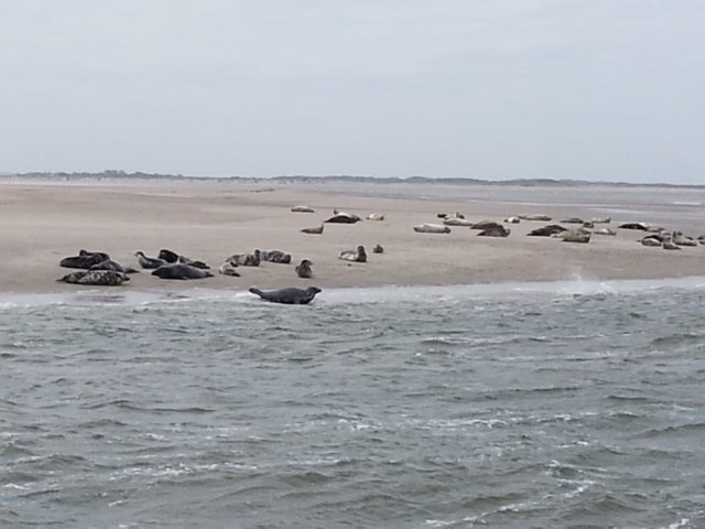 HWK Texel 121.jpg